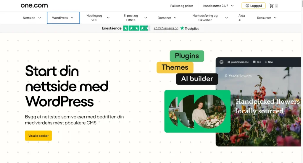 one.com webhotell og nettside